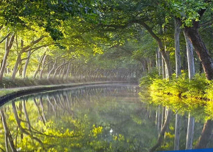 Bonabonheur - T3bis - Havre De Paix Toulousain *