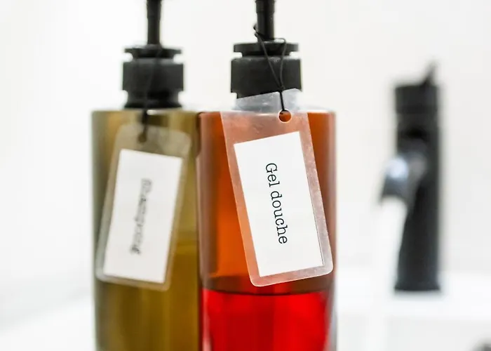 Bonabonheur - T3bis - Havre De Paix Toulousain * 圖盧茲