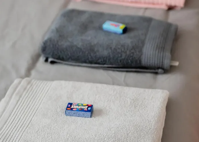 Bonabonheur - T3bis - Havre De Paix Toulousain Appartement